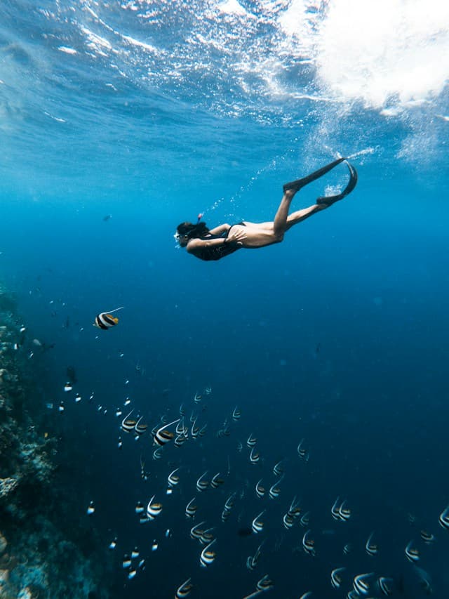 Scuba diver exploring a coral reef beside a school of tropical fish